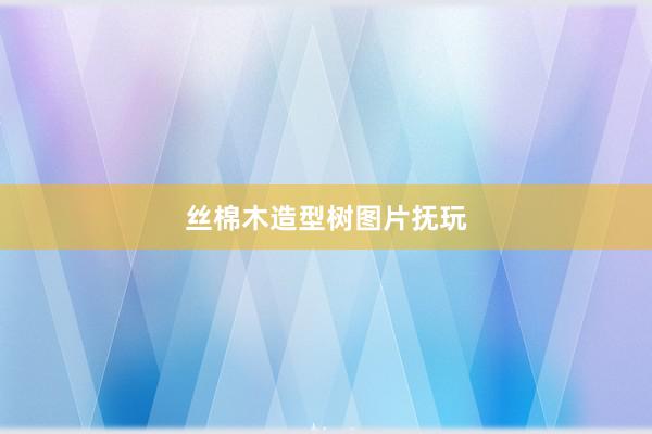 丝棉木造型树图片抚玩